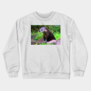 Fingal Crewneck Sweatshirt